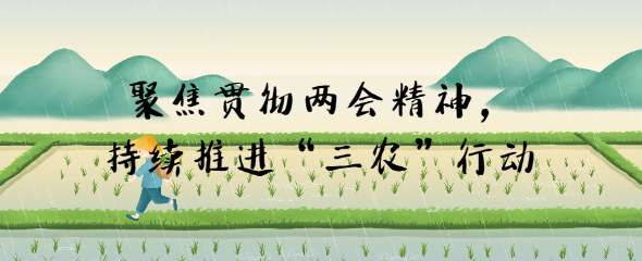 聚焦貫徹兩會(huì)精神，持續(xù)推進(jìn)“三農(nóng)”行動(dòng)